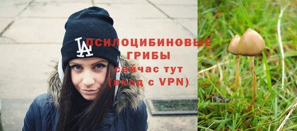 mix Арсеньев